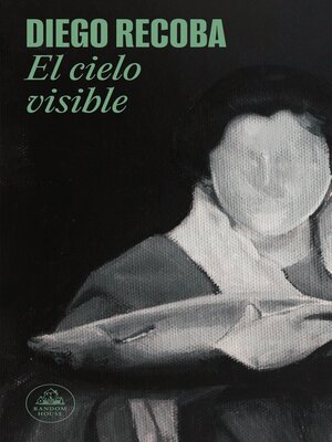 cover image of El cielo visible